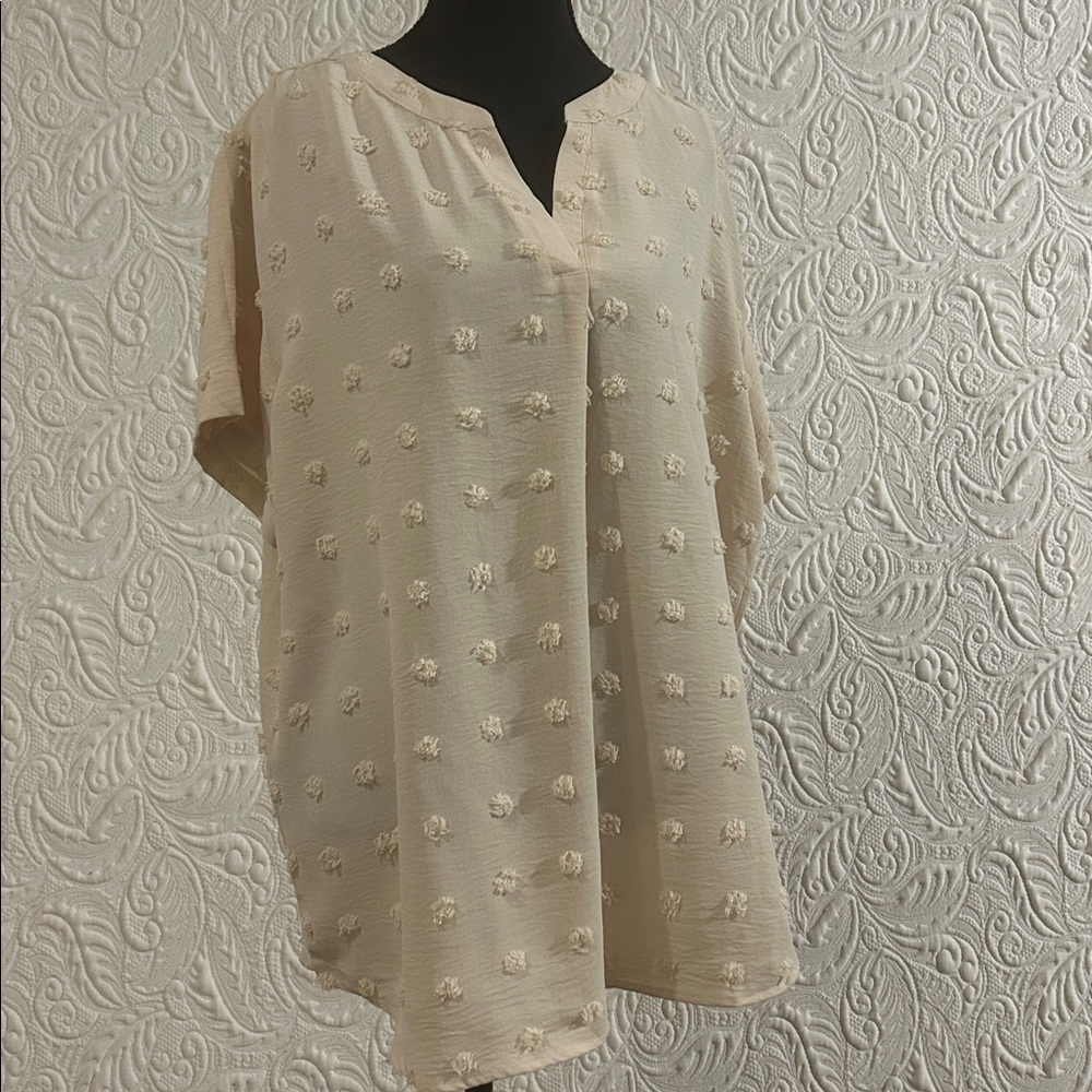 Cream Textured Blouse